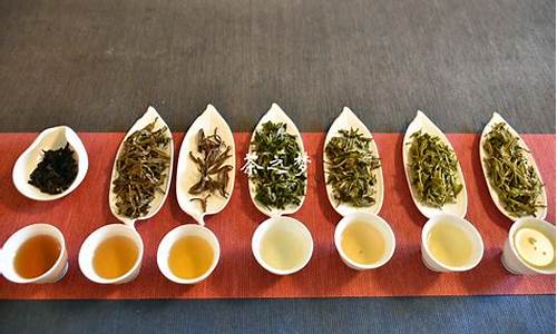 茶的种类_茶的种类及代表名茶